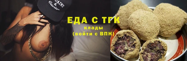 крисы Горняк