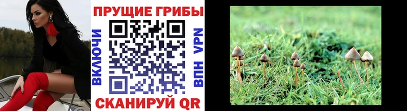 Псилоцибиновые грибы Magic Shrooms  Арзамас 