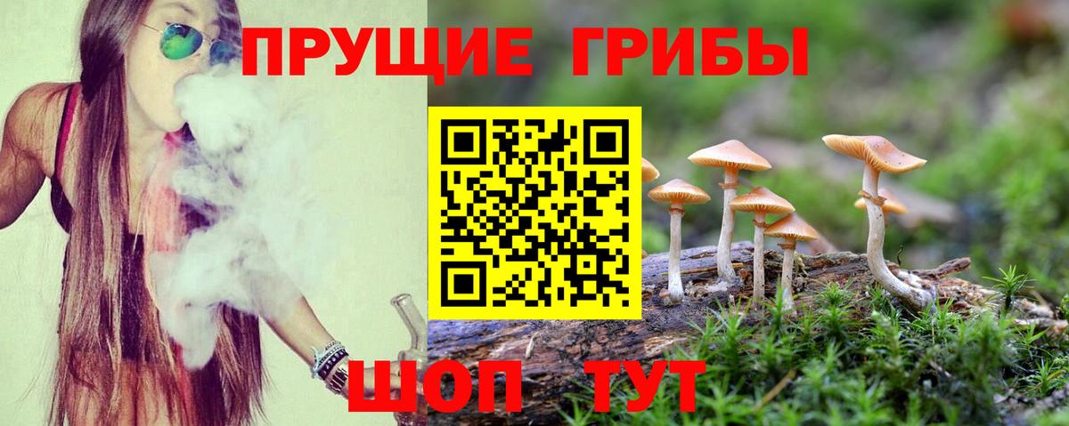 Галлюциногенные грибы прущие грибы Арзамас