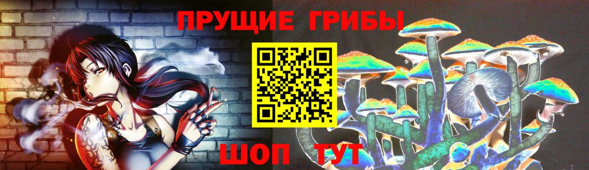 Галлюциногенные грибы GOLDEN TEACHER  цены наркотик  Арзамас  Вход с VPN 